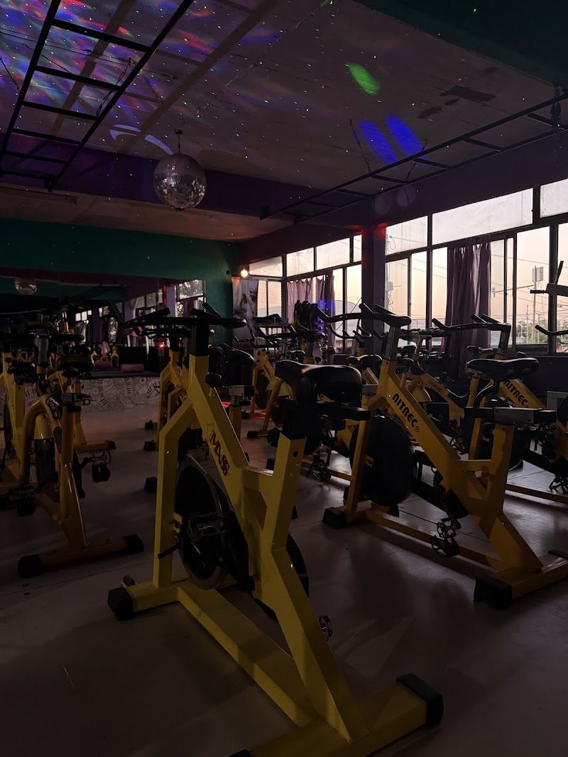 Clase de spinning en Dynamic Gym Fem