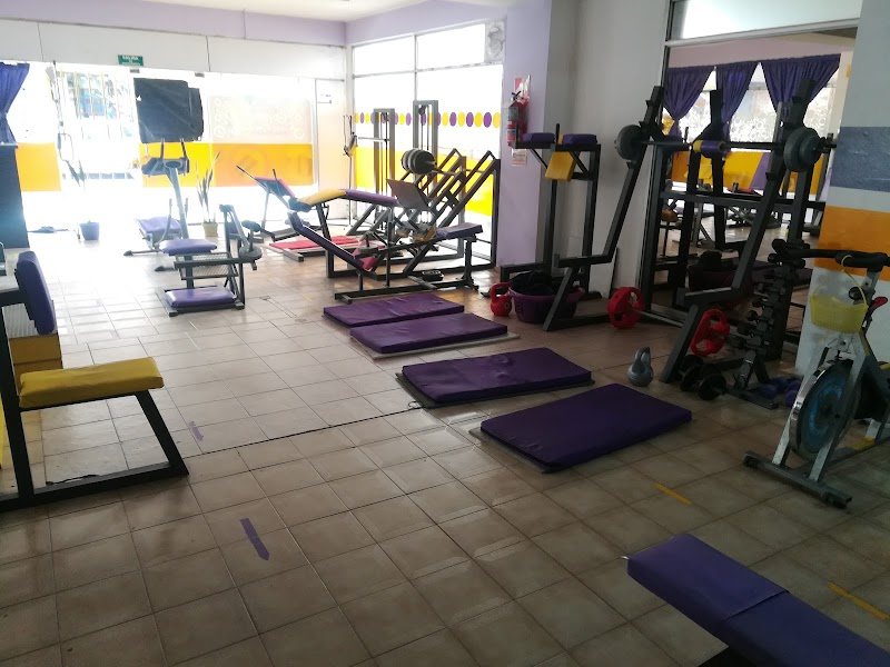 Sala de musculación de Efgym Gimnasio Femenino