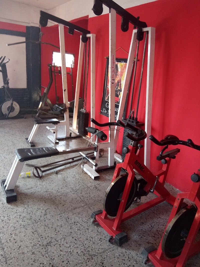 Espacio de Gimnasio Femenino Cordoba